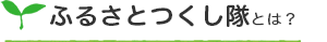 ふるさとつくし隊とは