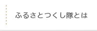 ふるさとつくし隊とは